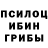 Псилоцибиновые грибы мухоморы netanel crispe