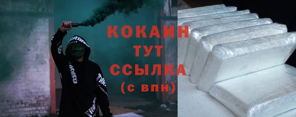 индика Нефтекумск