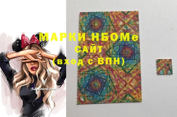 индика Нефтекумск