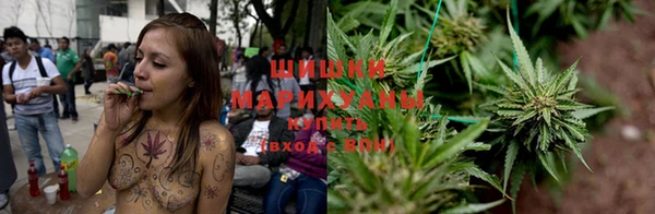 индика Нефтекумск